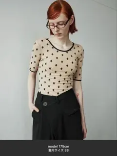 sorin スワンレイク フィットTシャツ - メルカリ