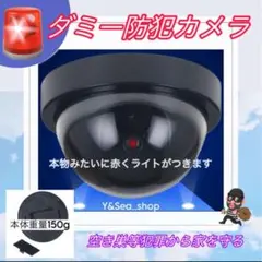 Item thumbnail for item f5045b0d-5bef-4405-9378-baad50936b86