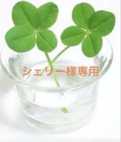 シェリー様専用