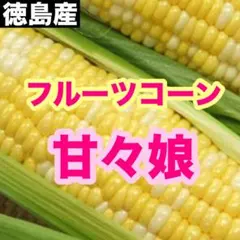 はるたん様専用出品　28日発送