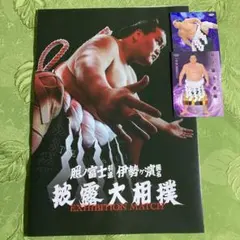 Item thumbnail for item 79d85566-0d6a-4dc2-ba8e-1bb2c71b4988