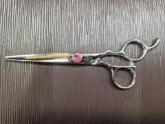 Item thumbnail for item 43f966d8-d41a-472f-a1a2-56371f69372d