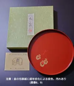 Item thumbnail for item 6e41de8a-a2a9-4449-a378-e8acf93df725