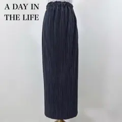 A DAY IN THE LIFE チャコールネイビー プリーツ マキシスカートのサムネイル