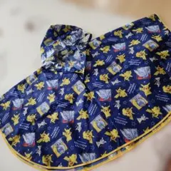 ポケットモンスター ピカチュウ レインコート