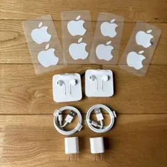 Apple 充電器 Lightningケーブル イヤフォン 2セット シール4枚