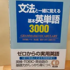 文法と一緒に覚える基本英単語3000