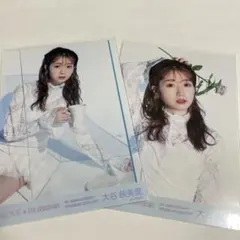 =LOVE 大谷映美里 生写真 セミコン