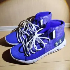 アンダーアーマー　ホバー ハヴォック　29cm UNDER ARMOUR