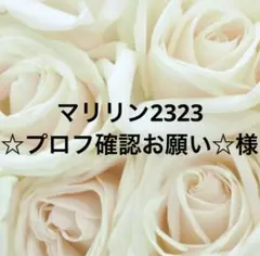 オルゴナイト　くま くまさんオルゴナイト791 - メルカリ