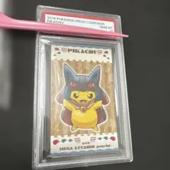 ポンチョを着たピカチュウ★名刺カード メガルカリオのポンチョを着たビンチョウのサムネイル