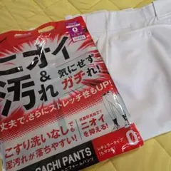 Mizuno ガチパンツ ユニフォームパンツ 12JD2F6001 O