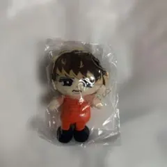 SnowMan 向井康二　すのチル ちびぬい