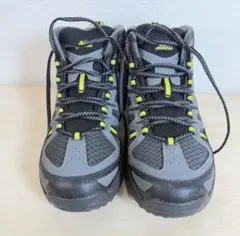 Item thumbnail for item cc8bf5e3-5552-470b-9909-d633405a849d