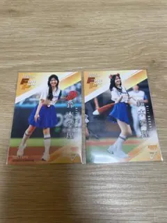 BBM 2025 鈴木愛理　始球式　2枚セット　シークレット　レギュラー