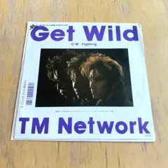 GET WILD レコード TM NETWORK EP