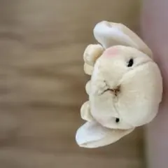 2026年最新】ぽてうさろっぴー キーホルダーの人気アイテム - メルカリ