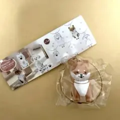 WANKONO Time Capsule わんこのタイムカプセルガチャ/まめ