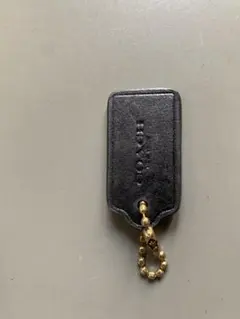 Item thumbnail for item f3909cf1-126f-4b23-9635-78ea5109e6cc