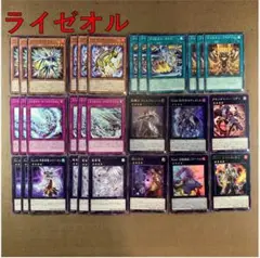No.14165 遊戯王 ライゼオル デッキパーツ