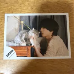 SixTONES 松村北斗 公式写真 猫 ふたり