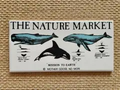 クジラ類のイラスト陶器プレート