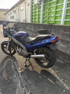 Kawasaki ZZR 250のサムネイル