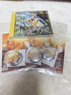 君と僕の約束 アニメイト特典付き