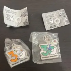 ポケモン 30周年 メタルチャームマスコット ソルガレオ・ゼルネアス
