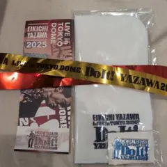 矢沢永吉　ソロ50周年記念　Do It!　11/9　東京ドーム