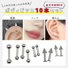 14Gෆボディピアス 軟骨ピアス MIX10本 ストレートバーベル ラブレット
