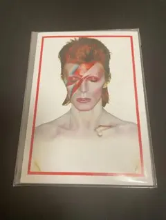 超レア　DavidBowie ✖️DUFFYフォトパネル 2025年最新】デヴィッド・ボウイ展の人気アイテム - メルカリ