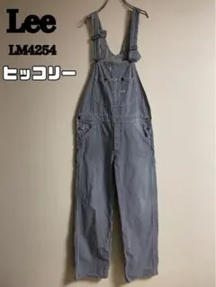 ★ヒッコリー★ Lee リー オーバーオール デニム M表記 ダンガリーズ