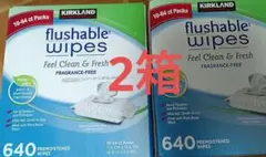 Kirkland flushable wipes 640枚 6パック X 2箱のサムネイル