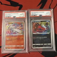PSA10】スクエアミラー 25th グラードン カイオーガ - メルカリ