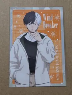 WINDBREAKER ウィンブレ プリンセスカフェ