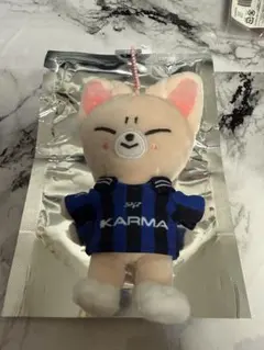 straykids KARMA SKZOOver. フォクシニー