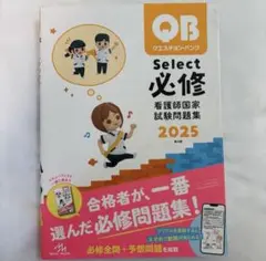 2025年最新】qb クエスチョンバンクの人気アイテム - メルカリ