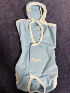 Item thumbnail for item c4c60336-3fb9-43c0-a651-73e86624711e