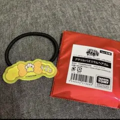 ひみつのアイプリ　アクリルバズリウムヘアゴム　つむぎ