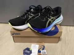 Item thumbnail for item 1a5fa6f1-609c-4e6f-b13f-4fb6d9fb4c94