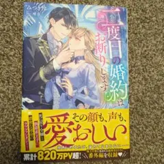 tl小説