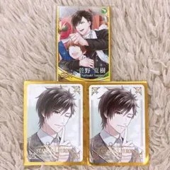 スタマイ 菅野夏樹 メモリアルカード まとめ売り スタマイ 菅野夏樹 メモリアルカード まとめ売り スタマイ 菅野