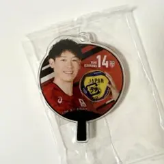 バレーボール日本代表 うちわアクリルチャーム 石川祐希選手