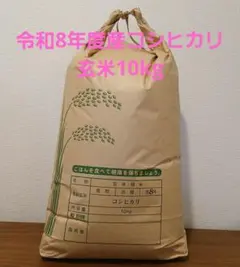 令和7年度石川県産こしひかり玄米10kg 化学肥料不使用 - メルカリ