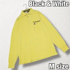 Item thumbnail for item 6bfaf115-e012-433c-a007-c9fae4b2bdfe