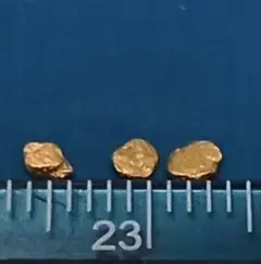 砂金 セット 観賞・資料用 - メルカリ