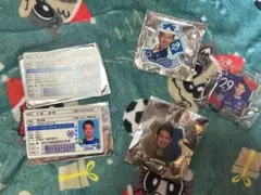 ヴァンフォーレ甲府グッズ(大島康樹選手)