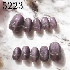 5223★ネイルチップ★ハンド★24枚セット★ショートオーバル