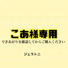 〔A67〕こあ様専用